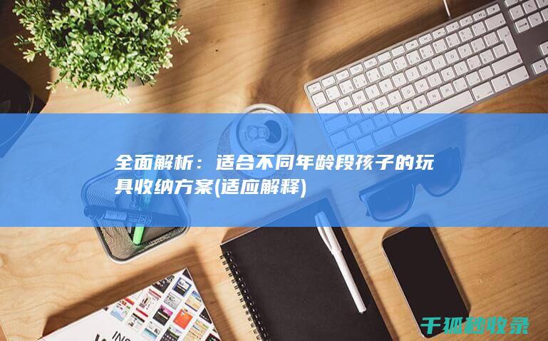 全面解析：适合不同年龄段孩子的玩具收纳方案 (适应解释)
