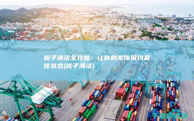 梳子清洁全攻略：让你的发饰保持最佳状态 (梳子 清洁)