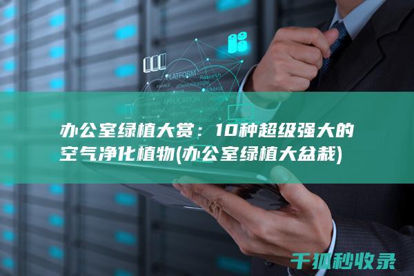 办公室绿植大赏：10种超级强大的空气净化植物 (办公室绿植大盆栽)