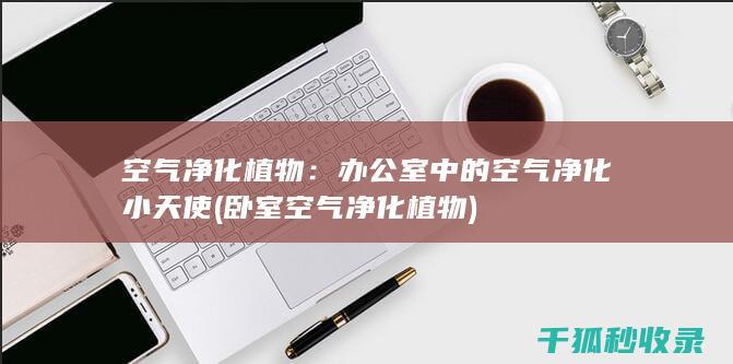 空气净化植物：办公室中的空气净化小天使 (卧室空气净化植物)