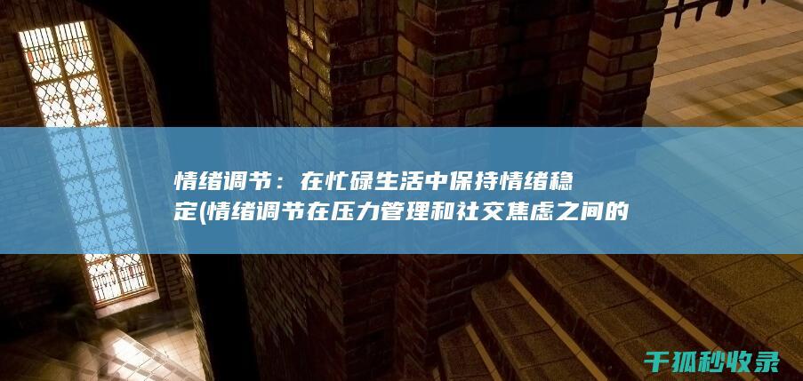 情绪调节：在忙碌生活中保持情绪稳定 (情绪调节在压力管理和社交焦虑之间的中介作用本文)