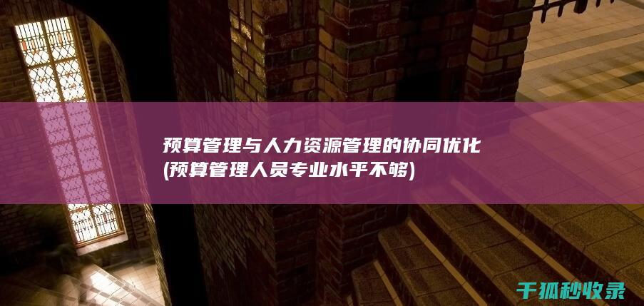 预算管理与人力资源管理的协同优化 (预算管理人员专业水平不够)