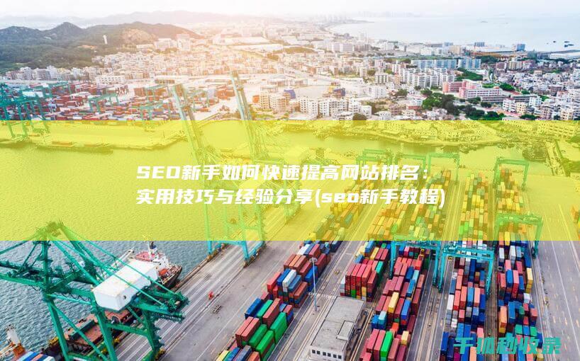 SEO新手如何快速提高网站排名：实用技巧与经验分享 (seo新手教程)