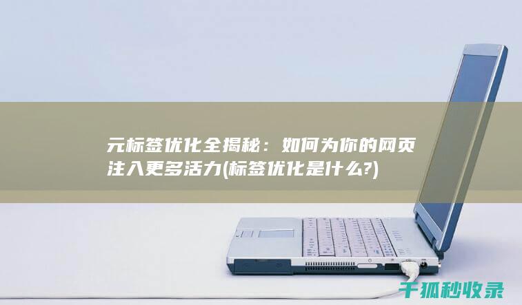 元标签优化全揭秘：如何为你的网页注入更多活力 (标签优化是什么?)