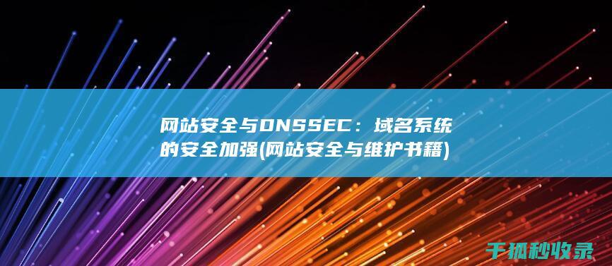 网站安全与DNSSEC：域名系统的安全加强 (网站安全与维护书籍)