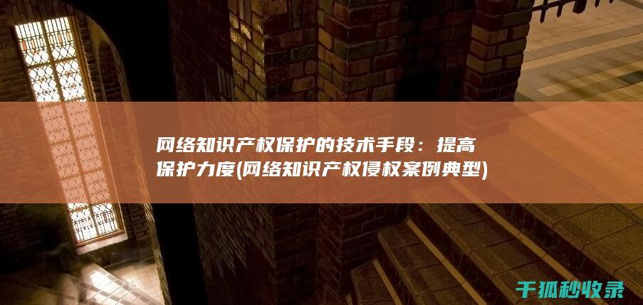 网络知识产权保护的技术手段：提高保护力度 (网络知识产权侵权案例典型)