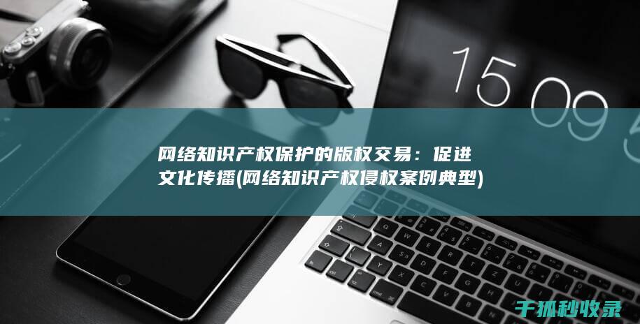 网络知识产权保护的版权交易：促进文化传播 (网络知识产权侵权案例典型)