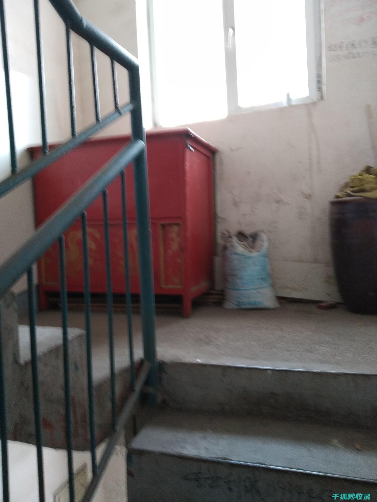地倒设施与宠物训练营：提升技能的地方 (倒置地形什么意思)