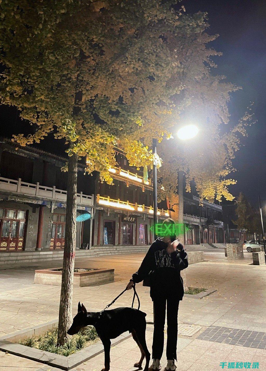 地倒设施与宠物训练师：指导宠物的导师 (倒置地形)