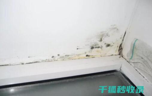 墙面污渍处理：DIY清洁与专业服务的比较 (墙面污渍处理小妙招)