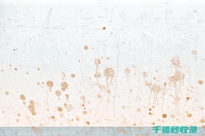 墙面污渍处理：使用白醋清洁墙面污渍的效果与注意事项 (墙面污渍处理小妙招)