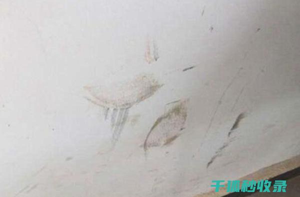 墙面污渍处理：使用纯净水清洁墙面的注意事项 (墙面污渍处理方法)