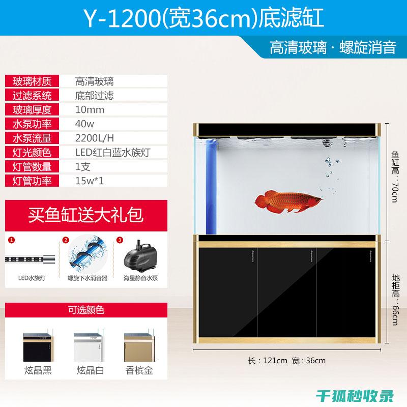 玻璃水族箱内壁清洁技巧，观赏鱼更健康 (玻璃水族箱内有水珠)