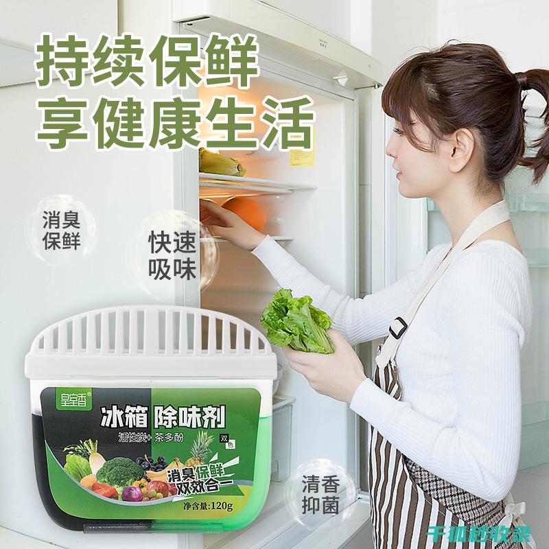 冰箱除味新思路：90种创新方法让你的冰箱气味清新 (新冰箱除味剂)