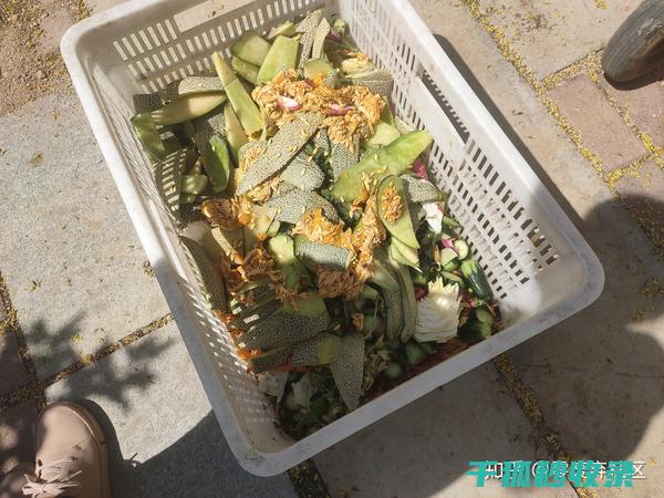 厨余堆肥那些事：你必须知道的要点 (厨余堆肥原理)