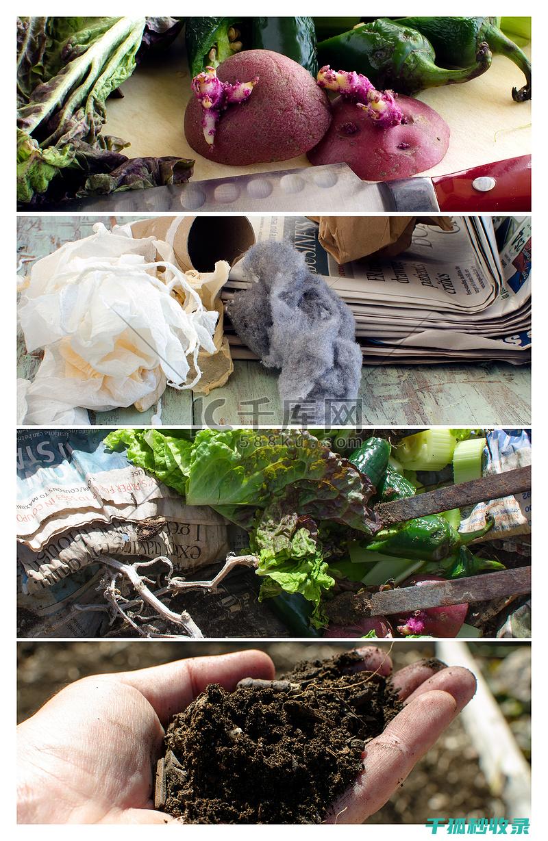 厨余堆肥：从堆肥到种植的完整循环 (厨余堆肥原理)