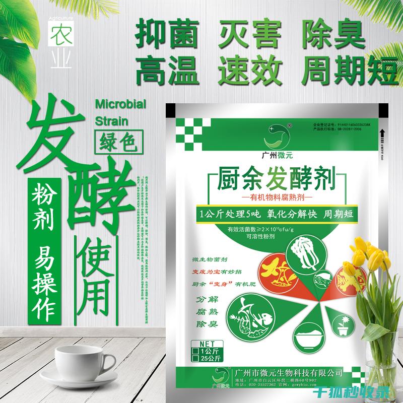 厨余堆肥：家庭堆肥的实用指南 (家庭厨余堆肥的原理)