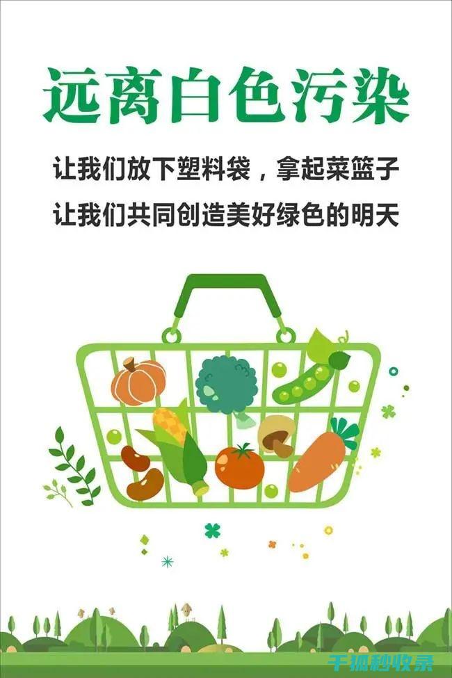 减少塑料使用：让环保成为生活习惯 (减少塑料使用的英文)