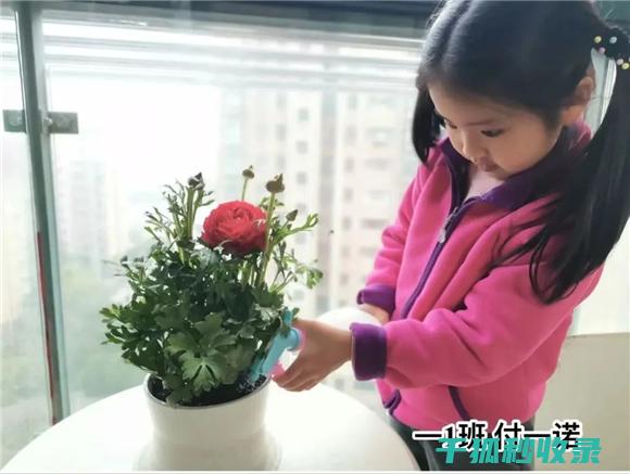 植树节：用绿色为地球增添魅力 (植树节用绿色材料做树)