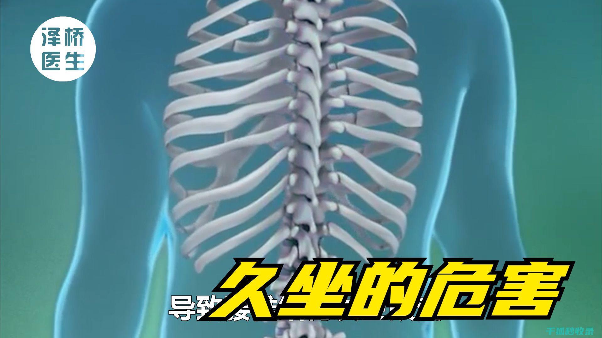久坐族必看！轻松有效的拉伸运动指南 (久坐族适合的运动)