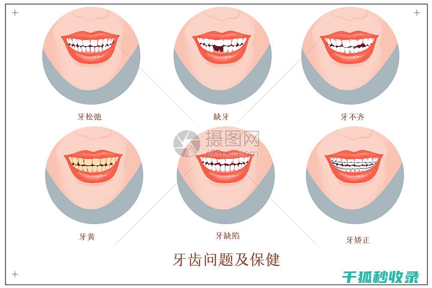 深入了解牙齿日常护理：如何保持口腔健康 (深入了解牙齿松动疼痛理论分析)