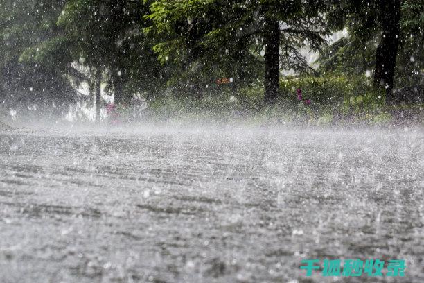 暴雨天气下如何正确操控车辆？专家支招 (暴雨天气下如何保证运输途中的安全防护)