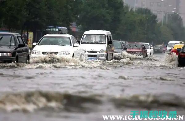 雨季驾驶经验谈：如何在雨中保持冷静与理智 (雨季驾驶经验怎么写)