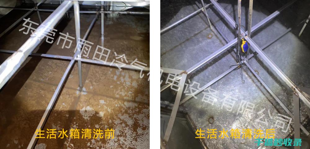 水族箱清洁指南