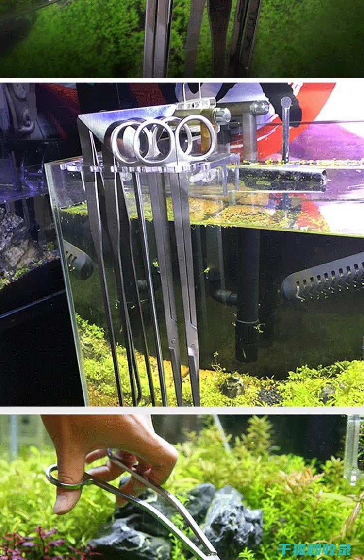 水族箱清洁注意事项：更换过滤介质的正确方法 (水族箱的清洗)