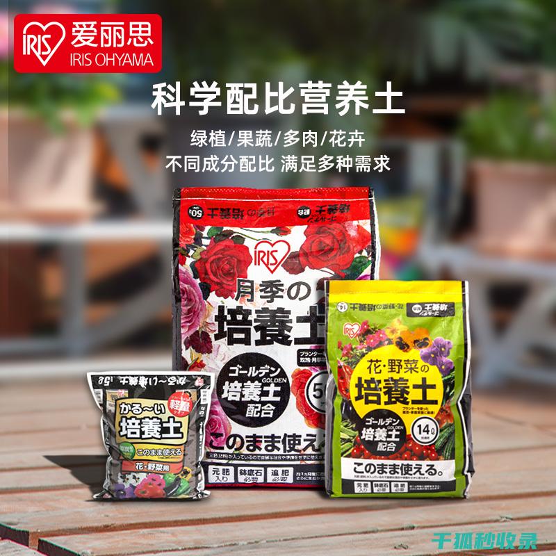 盆栽土壤配比：适合热带植物的特殊配方 (盆栽土壤配比标准)