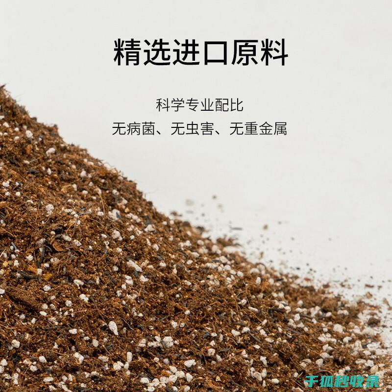 盆栽土壤配比：如何根据季节变化调整配方 (盆栽土壤配比标准)