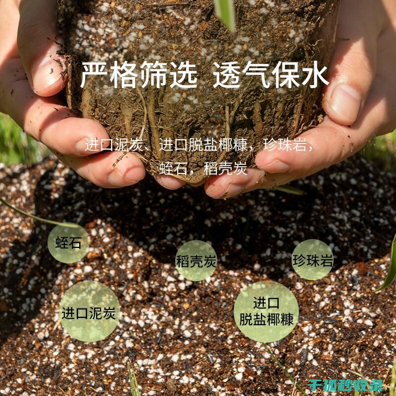盆栽土壤配比：新手入门：如何选择合适的土壤 (盆栽土壤配比标准)