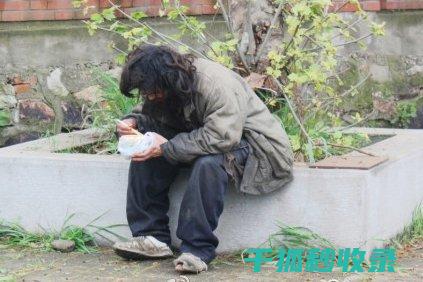 流浪动物救助：从街头到安全的港湾 (流浪动物救助中心)