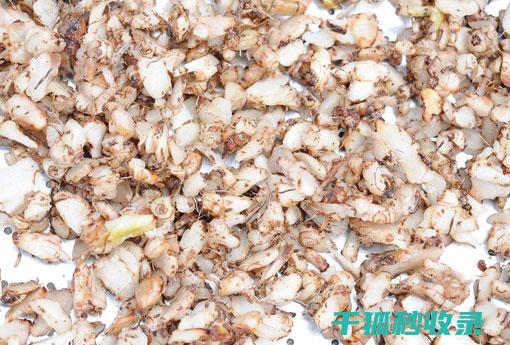 白鞋遇到污渍？别慌，这些清洁步骤助你一臂之力 (白鞋遇到污渍怎么洗)