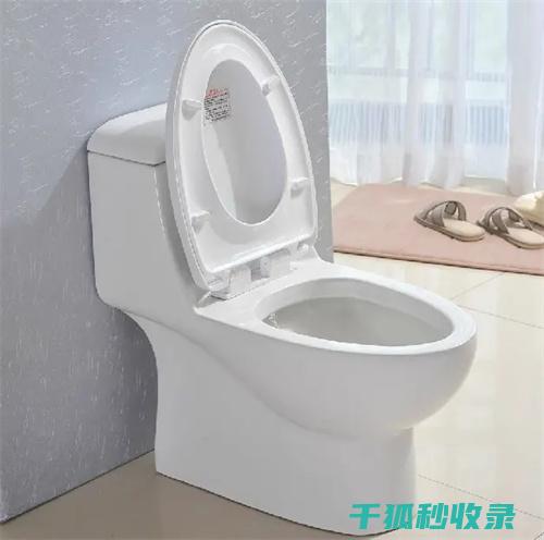 马桶清洁消毒：保持马桶卫生的实用建议 (马桶清洁消毒流程)