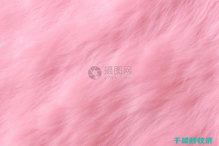 毛绒清洁