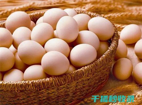 鸡蛋保鲜之道：家庭主妇的实用储存经验分享 (鸡蛋保鲜之道怎么做)