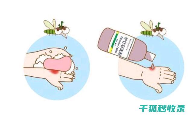 蚊虫叮咬后止痒技巧大揭秘，轻松搞定瘙痒问题 (蚊虫叮咬后止痒消肿的药)