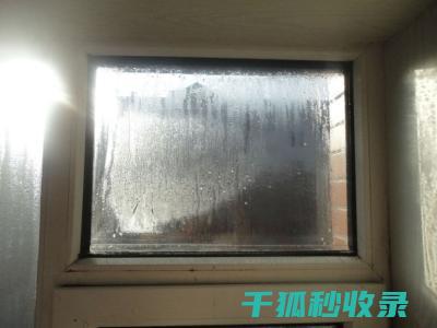 洁窗除雾小窍门，让您的窗户焕然一新 (洁窗除雾小窍门有哪些)