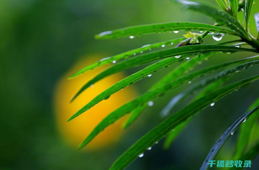 雨刮器清洁：从日常维护到深度护理的全攻略 (雨刮器清洁液按哪个键)