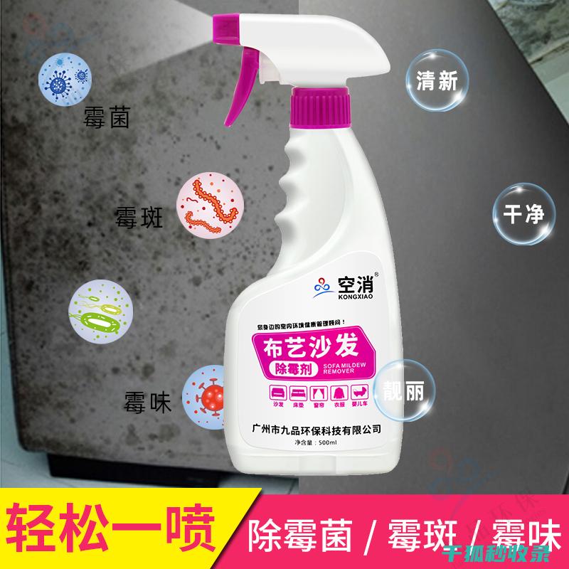 去除地毯霉点？从这几方面入手更高效 (去除地毯霉点的方法)