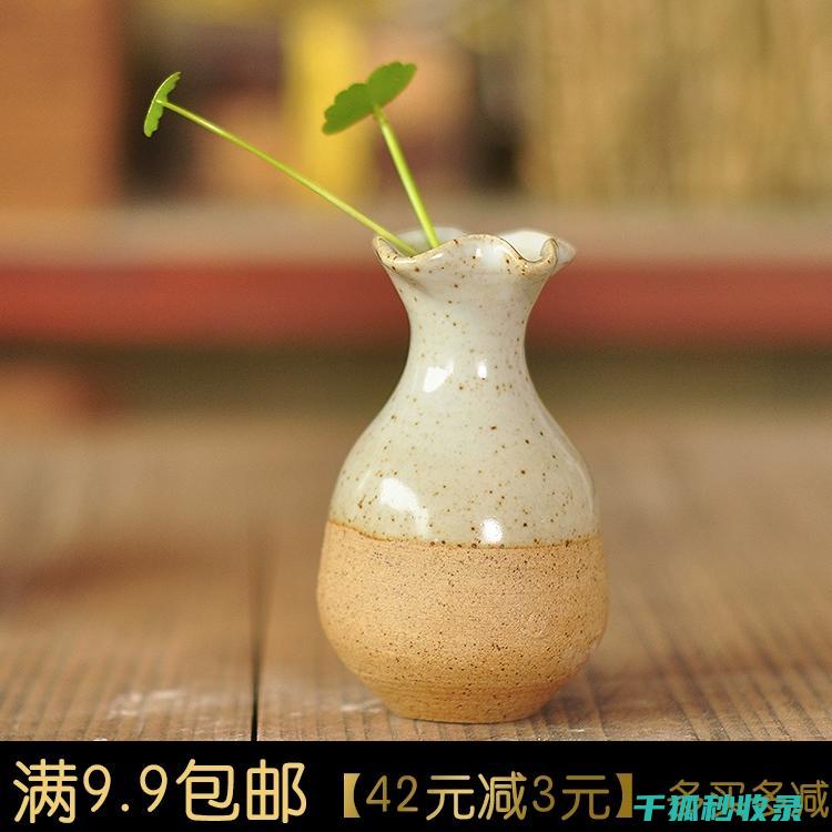 去除陶瓷花瓶蜡痕：保持瓷器优雅 (去除陶瓷花瓶污渍)