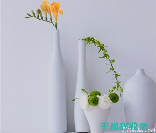 花瓶清洁后的光泽维护：让花瓶更加亮丽 (花瓶清洁后的颜色变化)
