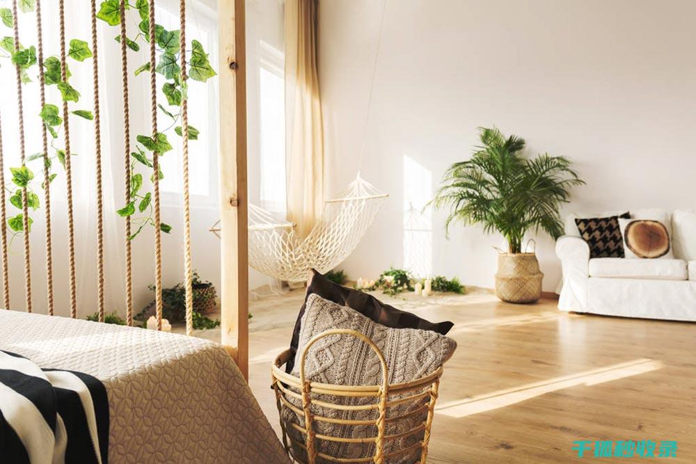 植物叶片光亮：大自然赋予植物的独特伪装 (植物叶片光亮剂)