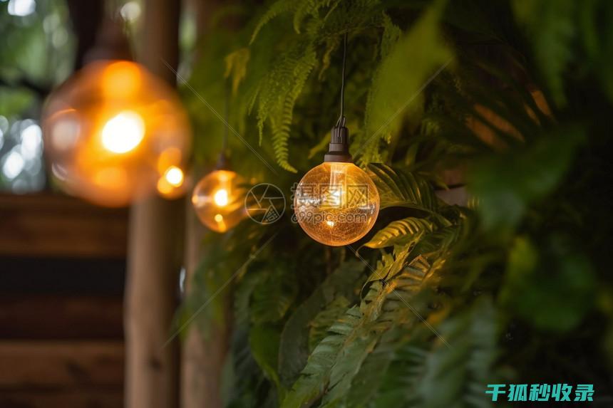 植物叶片光亮：植物健康状态的直观表现 (植物叶片光亮剂配方)