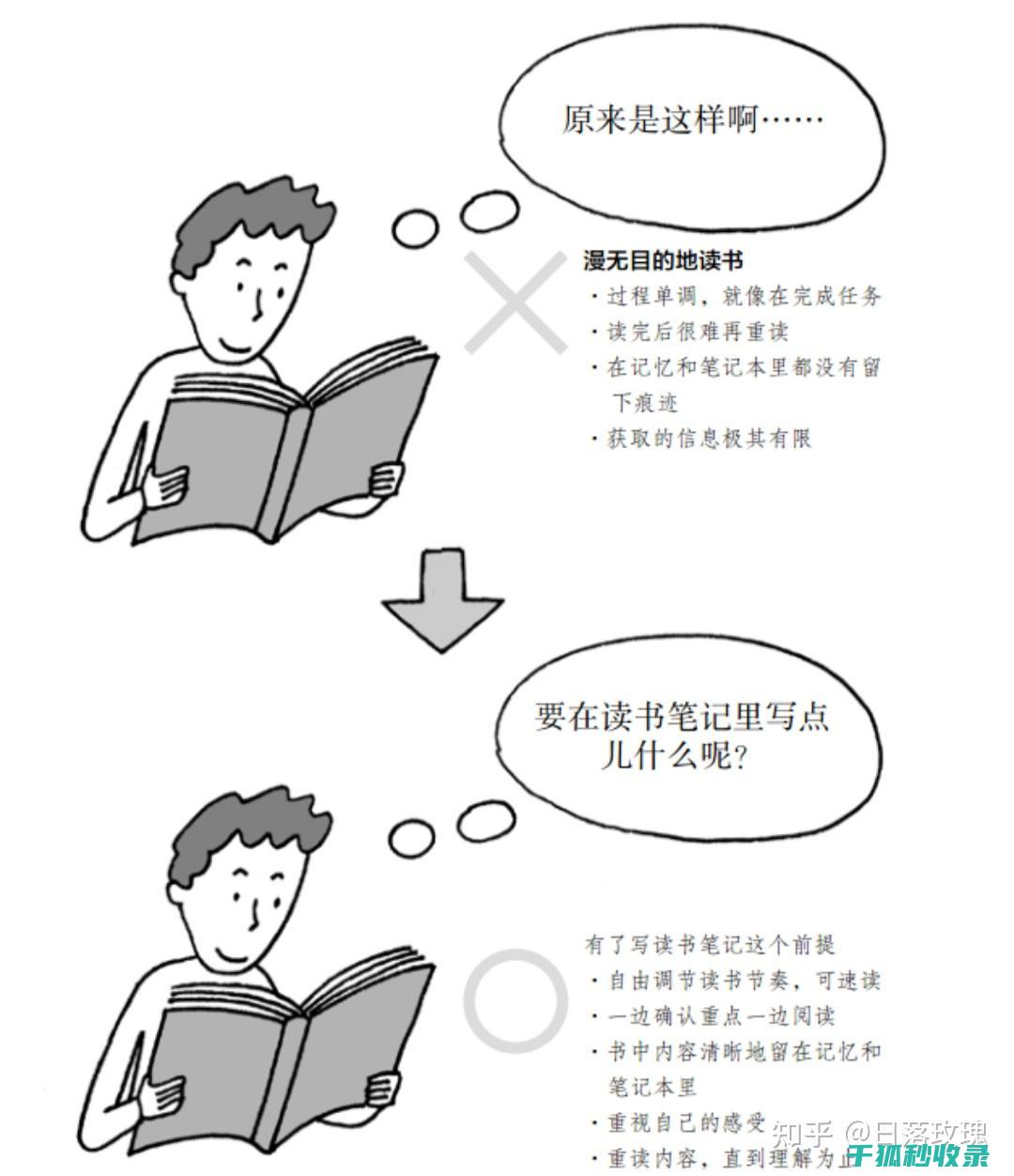 如何在家中种植驱蚊植物：天然防护的秘密武器 (如何在家中种植草莓?)