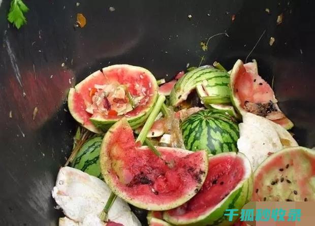 DIY花肥：用简单的材料培育美丽的花卉的方法 (自做花肥)