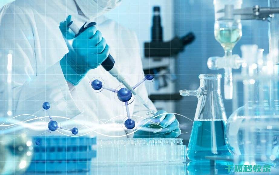 科学保存大蒜，告别发芽和腐烂 (保存大蒜的方法有哪些)