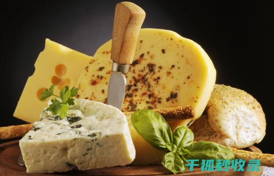 奶酪保存全知道：让你的奶酪随时保持最佳口感 (奶酪保存全知怎么保存)