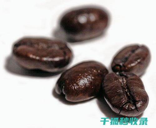 咖啡豆保存技巧：延长咖啡的新鲜感与美味 (咖啡豆保存技巧)